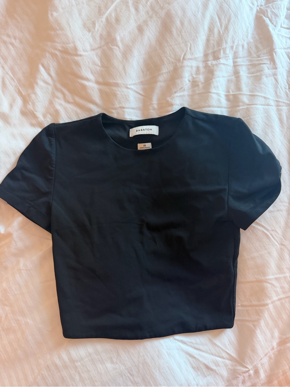 Aritzia Babaton Baby Tee